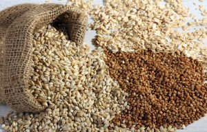 Grains img