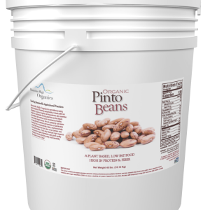 Organic Pinto Beans